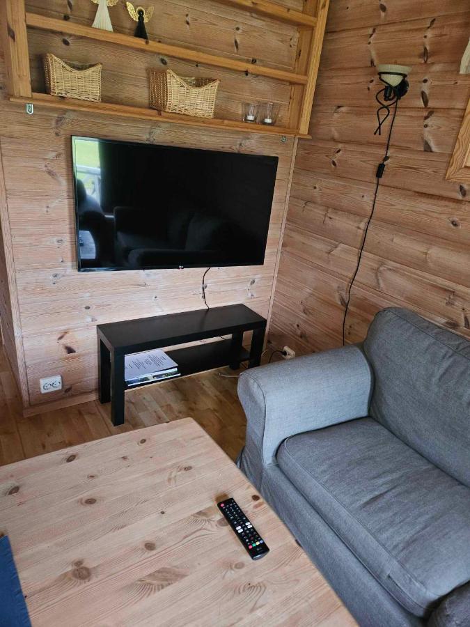 Saltvold Hytte Nr8 Røldal Kültér fotó